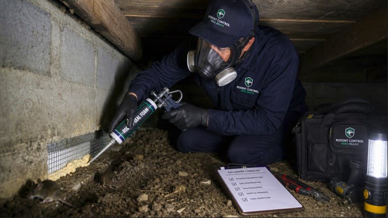 Rodent Control in Falcon Trace